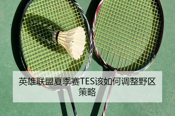 英雄联盟夏季赛TES该如何调整野区策略